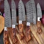 5-Piece Damascus Chef Knife Set with Rosewood Handles
